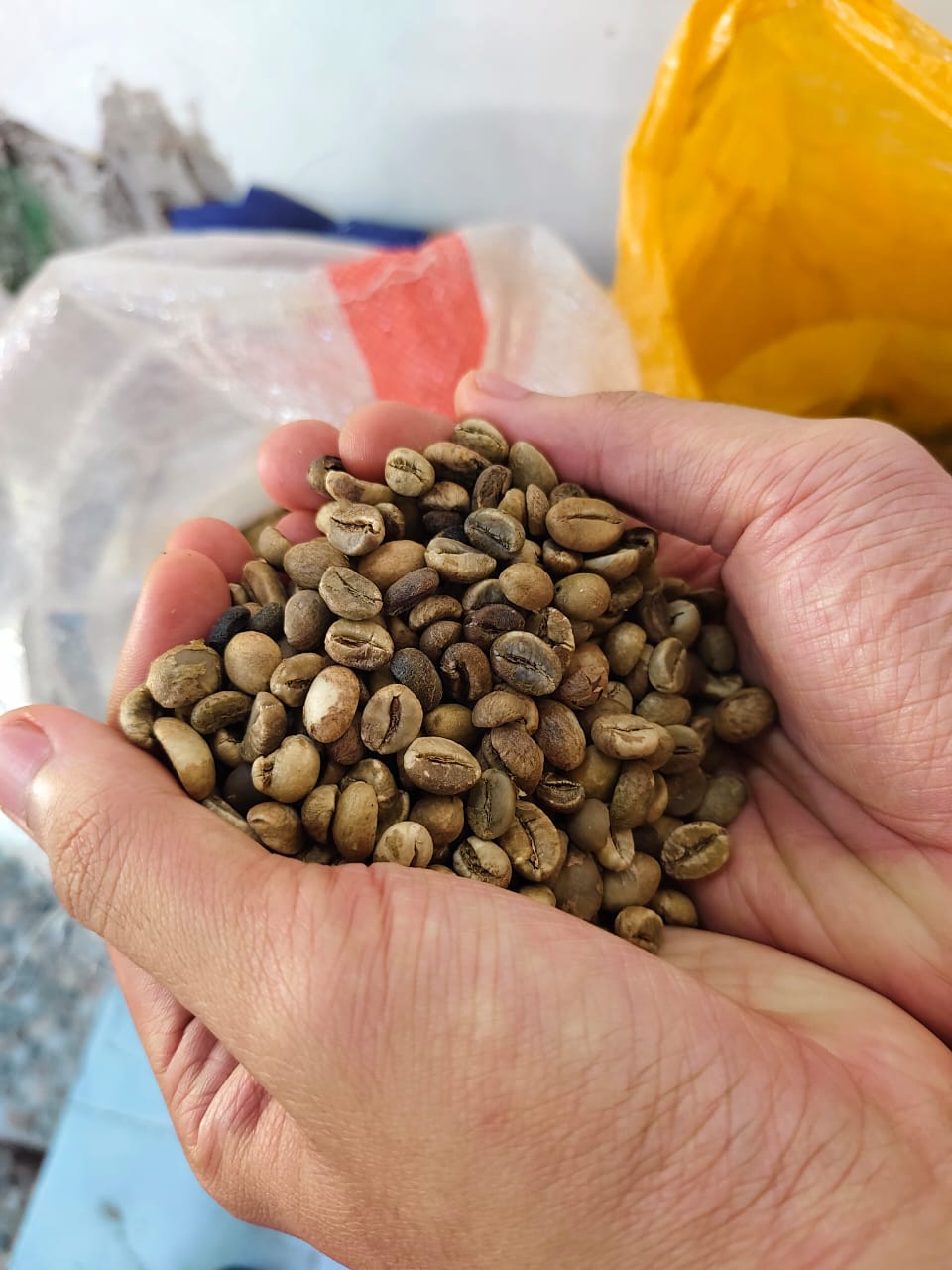 Coffee commodity