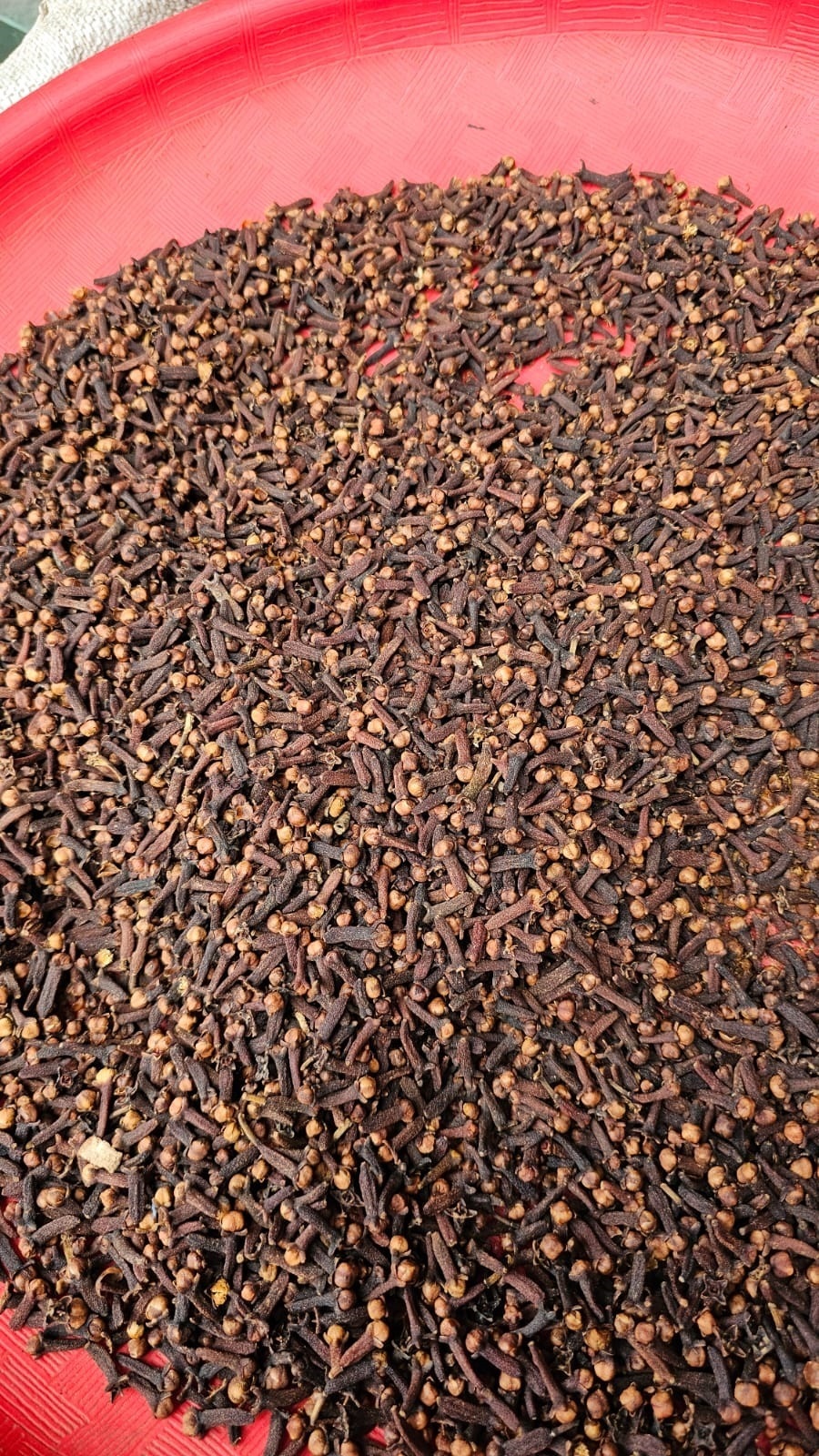 Agriculture Products