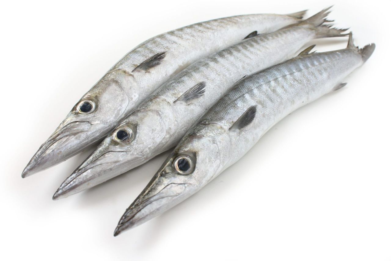Seafood & Fishery Products