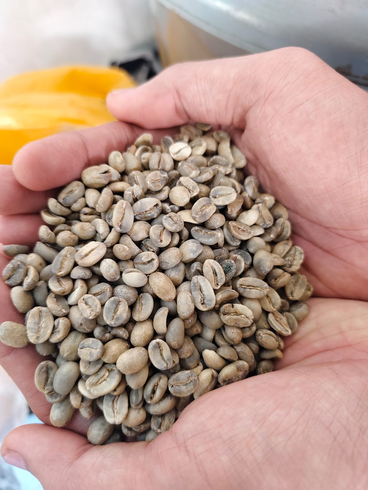 Agriculture Products