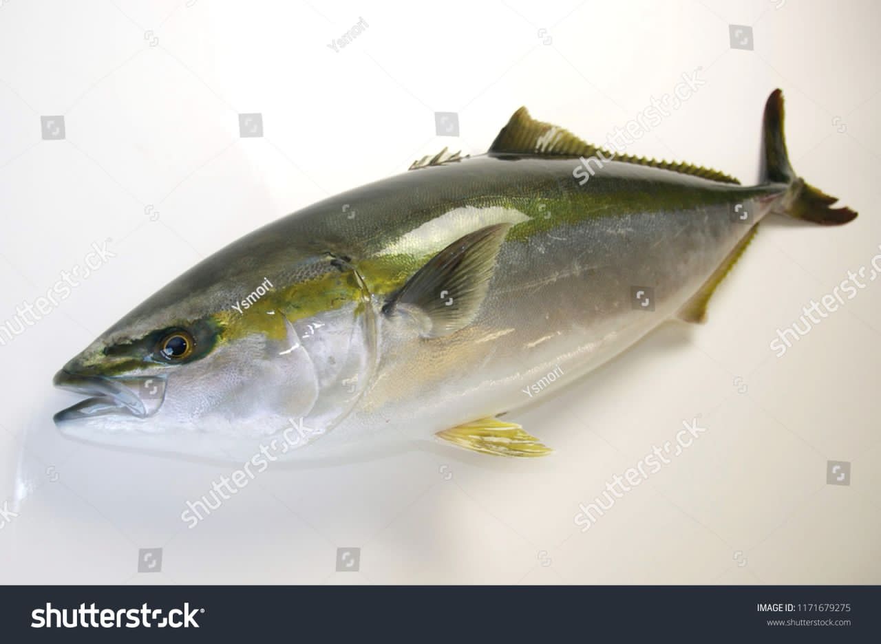 Seafood & Fishery Products